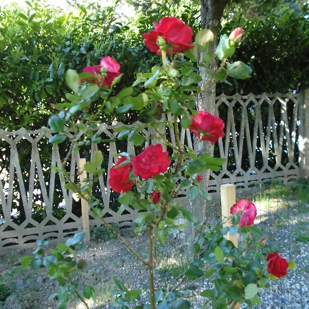 Casa T & Restaurant Di Tacchino Simone Bed & Breakfast Tagliolo Monferrato