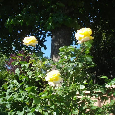 Casa T & Restaurant Di Tacchino Simone Tagliolo Monferrato