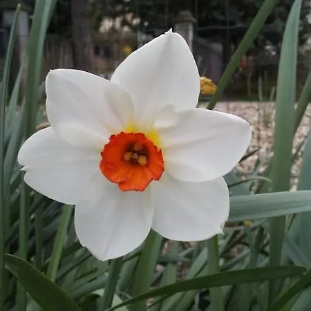 Bed & Breakfast Casa T & Restaurant Di Tacchino Simone