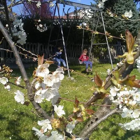 Casa T & Restaurant Di Tacchino Simone Frühstückspension