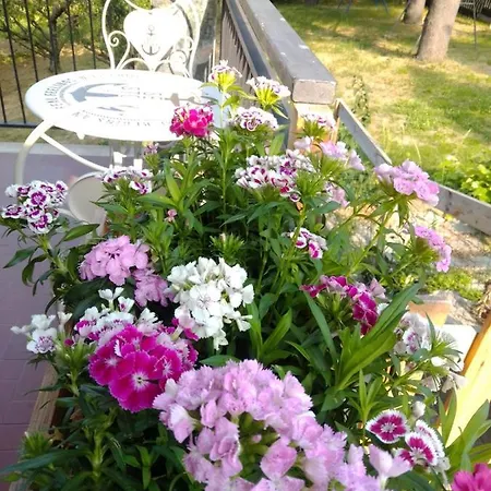 Casa T Bed&breakfast&home Restaurant Di Tacchino Simone Bed & Breakfast