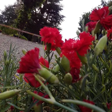 Casa T & Restaurant Di Tacchino Simone Frühstückspension