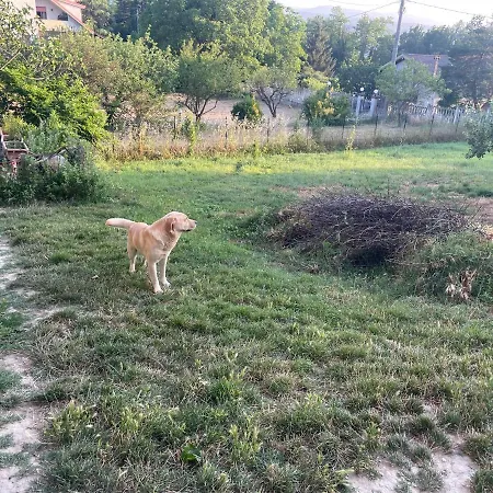 Casa T & Restaurant Di Tacchino Simone 4* Tagliolo Monferrato